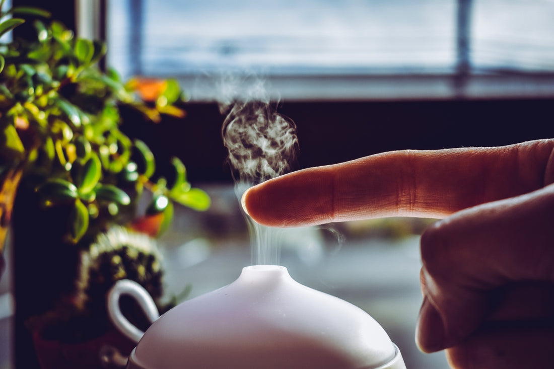 Top 7 Aromatherapy Scents for Melatonin Diffusers